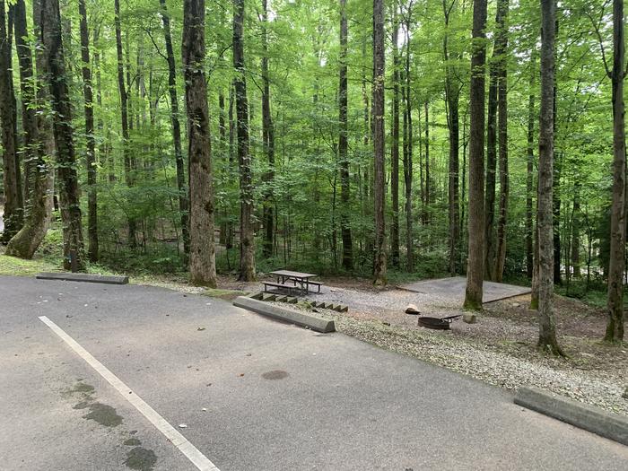 A photo of Site B36 of Loop B-Loop at COSBY CAMPGROUND with Picnic Table, Fire Pit, Tent Pad