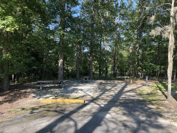 A photo of Site 84 of Loop CLOO at BLUFF CREEK with Picnic Table, Electricity Hookup, Sewer Hookup, Fire Pit, Shade, Tent Pad, Full Hookup, Lantern Pole, Water Hookup