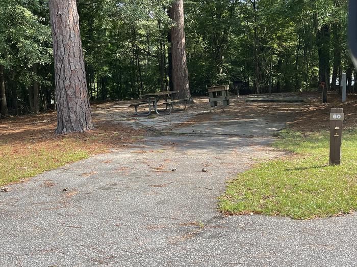 A photo of Site 60 of Loop PBLU at BLUFF CREEK with Picnic Table, Electricity Hookup, Sewer Hookup, Fire Pit, Shade, Food Storage, Tent Pad, Lantern Pole, Water Hookup