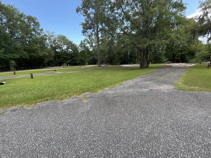 A photo of Site 55 of Loop RFOR at BLUFF CREEK with Picnic Table, Electricity Hookup, Sewer Hookup, Fire Pit, Shade, Tent Pad, Full Hookup, Waterfront, Lantern Pole, Water Hookup
