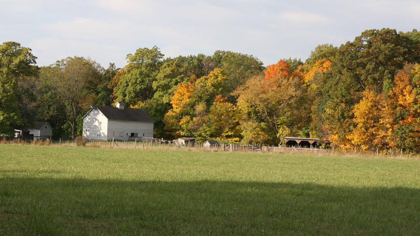 A green pasture with an old farm building against a backdrop of fall colorsA calming fall day at the Chellberg Farm