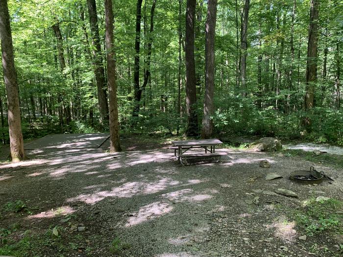 A photo of Site B91 of Loop B-Loop at COSBY CAMPGROUND with Picnic Table, Fire Pit, Tent Pad
