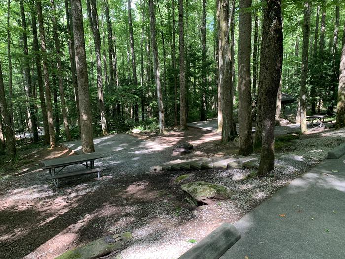 A photo of Site B70 of Loop B-Loop at COSBY CAMPGROUND with Picnic Table, Fire Pit, Tent Pad
