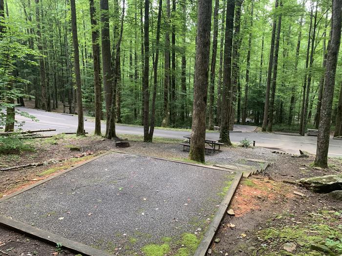 A photo of Site B37 of Loop B-Loop at COSBY CAMPGROUND with Picnic Table, Fire Pit, Tent Pad