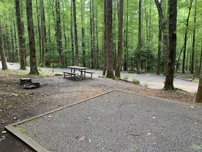 A photo of Site B39 of Loop B-Loop at COSBY CAMPGROUND with Picnic Table, Fire Pit, Tent Pad