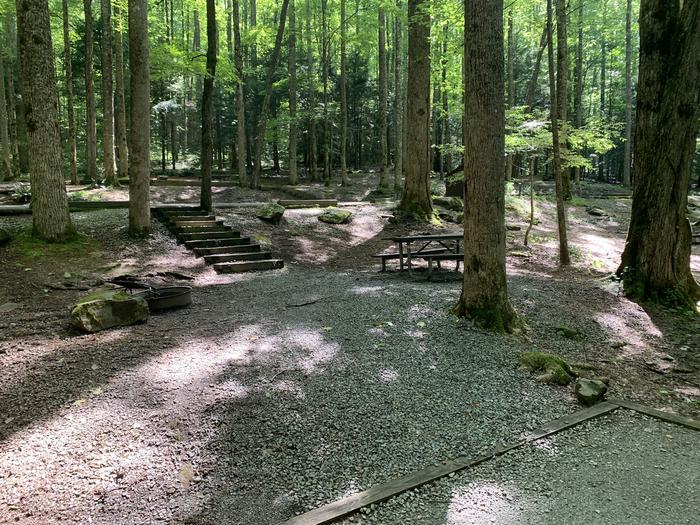 A photo of Site B70 of Loop B-Loop at COSBY CAMPGROUND with Picnic Table, Fire Pit, Tent Pad