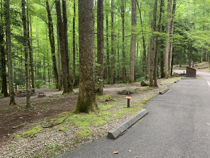 A photo of Site B32 of Loop B-Loop at COSBY CAMPGROUND with Picnic Table, Fire Pit, Tent Pad
