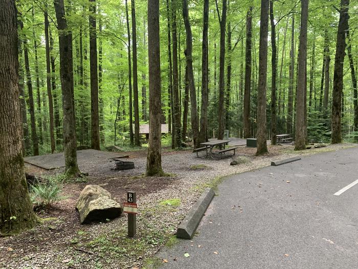 A photo of Site B43 of Loop B-Loop at COSBY CAMPGROUND with Picnic Table, Fire Pit, Tent Pad