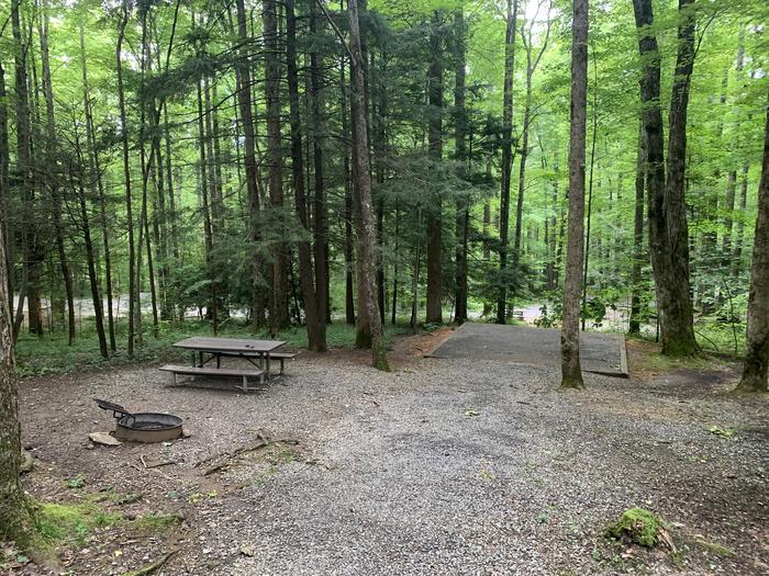 A photo of Site B32 of Loop B-Loop at COSBY CAMPGROUND with Picnic Table, Fire Pit, Tent Pad