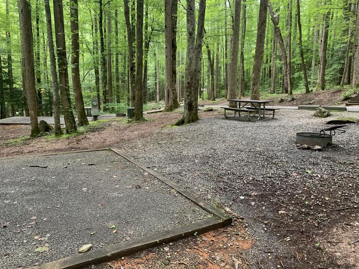 A photo of Site B43 of Loop B-Loop at COSBY CAMPGROUND with Picnic Table, Fire Pit, Tent Pad