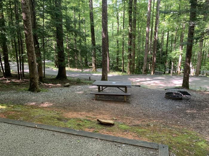 A photo of Site B65 of Loop B-Loop at COSBY CAMPGROUND with Picnic Table, Fire Pit, Tent Pad