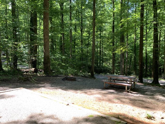 A photo of Site B90 of Loop B-Loop at COSBY CAMPGROUND with Picnic Table, Fire Pit, Tent Pad