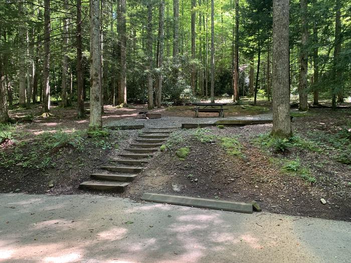 A photo of Site B65 of Loop B-Loop at COSBY CAMPGROUND with Picnic Table, Fire Pit, Tent Pad