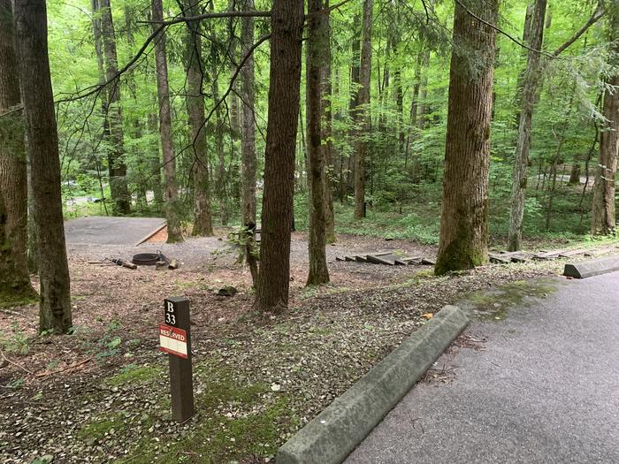 A photo of Site B33 of Loop B-Loop at COSBY CAMPGROUND with Picnic Table, Fire Pit, Tent Pad