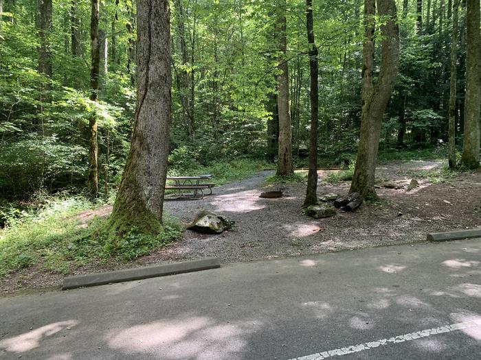 A photo of Site B87 of Loop B-Loop at COSBY CAMPGROUND with Picnic Table, Fire Pit, Tent Pad