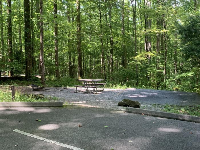 A photo of Site B84 of Loop B-Loop at COSBY CAMPGROUND with Picnic Table, Fire Pit, Tent Pad