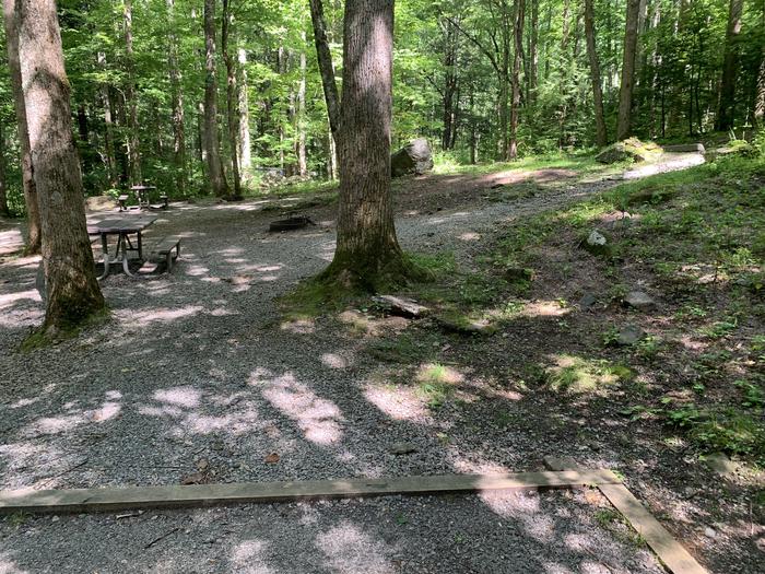 A photo of Site B89 of Loop B-Loop at COSBY CAMPGROUND with Picnic Table, Fire Pit, Tent Pad