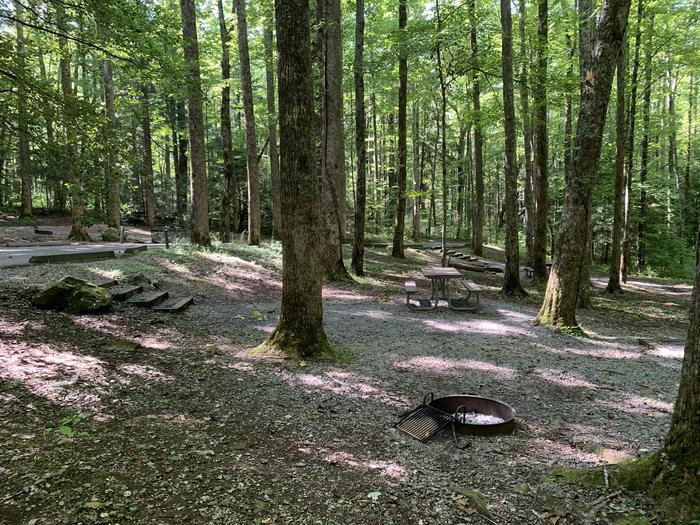 A photo of Site B52 of Loop B-Loop at COSBY CAMPGROUND with Picnic Table, Fire Pit, Tent Pad