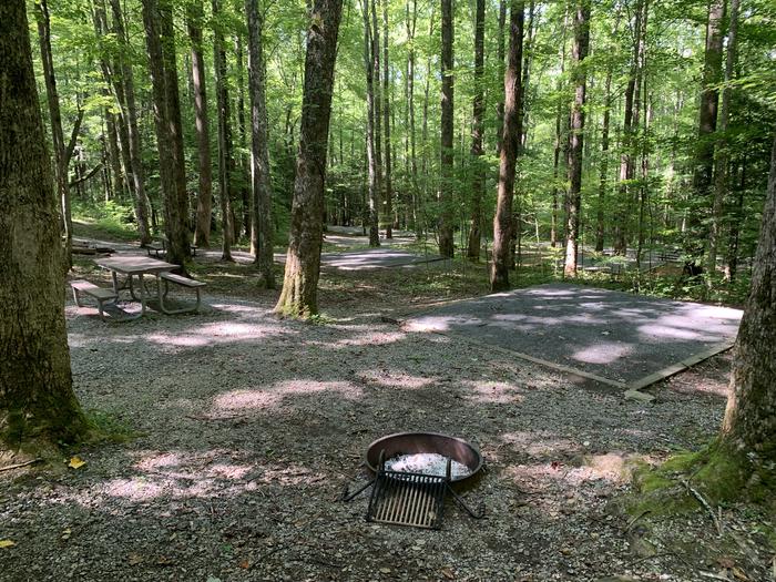 A photo of Site B52 of Loop B-Loop at COSBY CAMPGROUND with Picnic Table, Fire Pit, Tent Pad