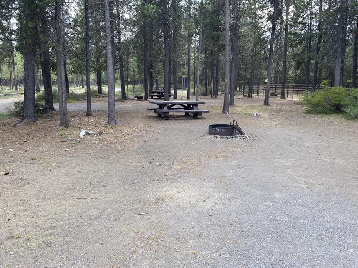 A photo of Site 011 - 4 Horse of Loop Loop 1 at CULTUS CORRAL HORSE CAMP with Picnic Table