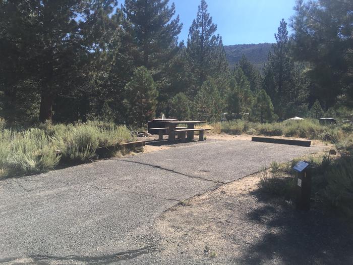 A photo of Site 001 of Loop PAHA  at PAHA with Picnic Table, Fire Pit, Food Storage, Tent Pad
