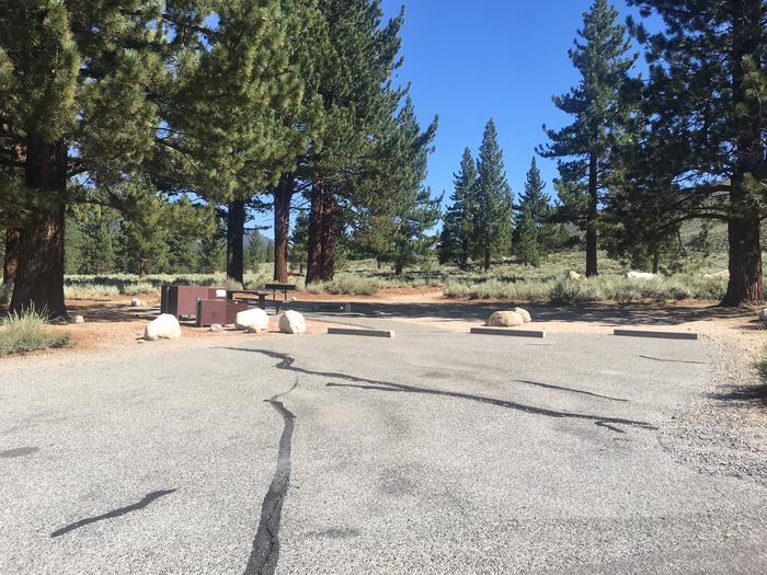A photo of Site 015 of Loop FAM at CRAGS CAMPGROUND with Picnic Table, Fire Pit, Shade, Food Storage, Tent Pad