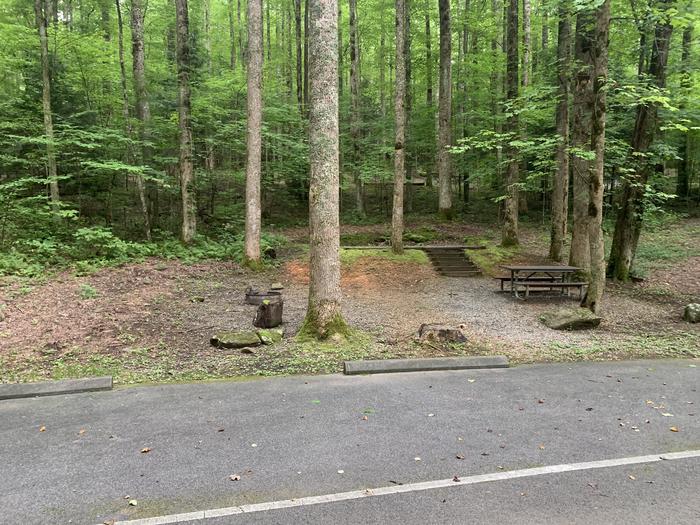 A photo of Site B35 of Loop B-Loop at COSBY CAMPGROUND with Picnic Table, Fire Pit, Tent Pad
