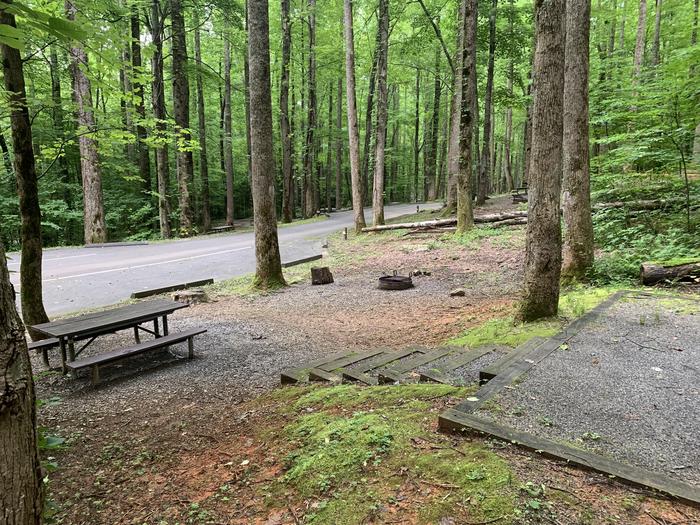 A photo of Site B35 of Loop B-Loop at COSBY CAMPGROUND with Picnic Table, Fire Pit, Tent Pad