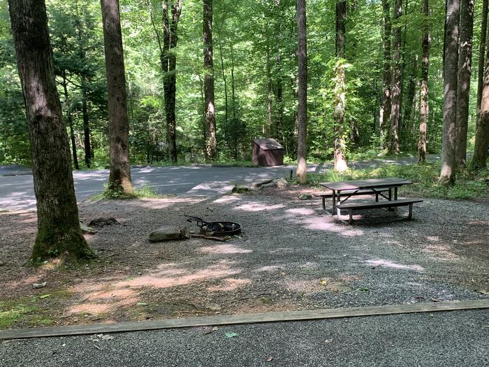 A photo of Site B85 of Loop B-Loop at COSBY CAMPGROUND with Picnic Table, Fire Pit, Tent Pad