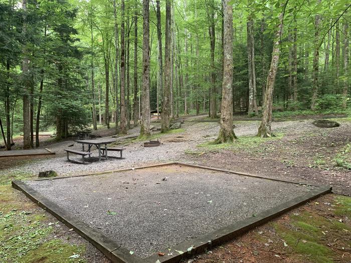 A photo of Site B25 of Loop B-Loop at COSBY CAMPGROUND with Picnic Table, Fire Pit, Tent Pad