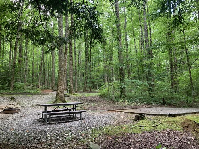 A photo of Site B25 of Loop B-Loop at COSBY CAMPGROUND with Picnic Table, Fire Pit, Tent Pad
