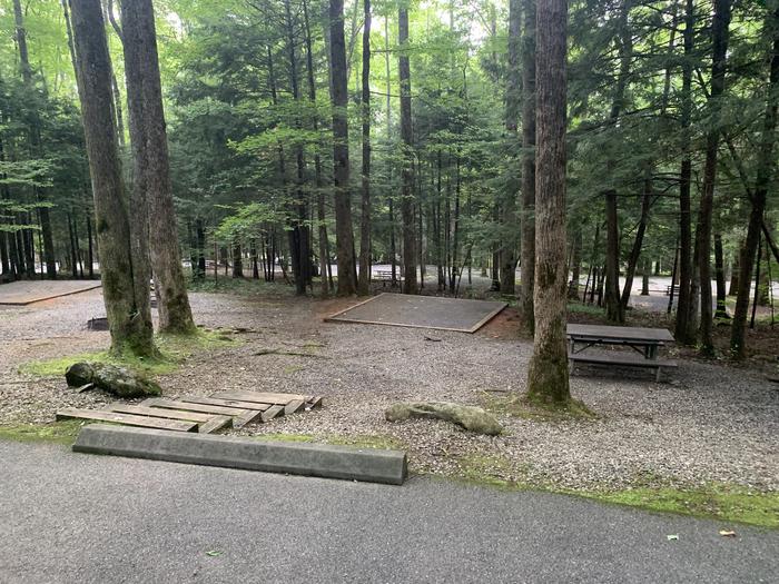 A photo of Site B26 of Loop B-Loop at COSBY CAMPGROUND with Picnic Table, Fire Pit, Tent Pad