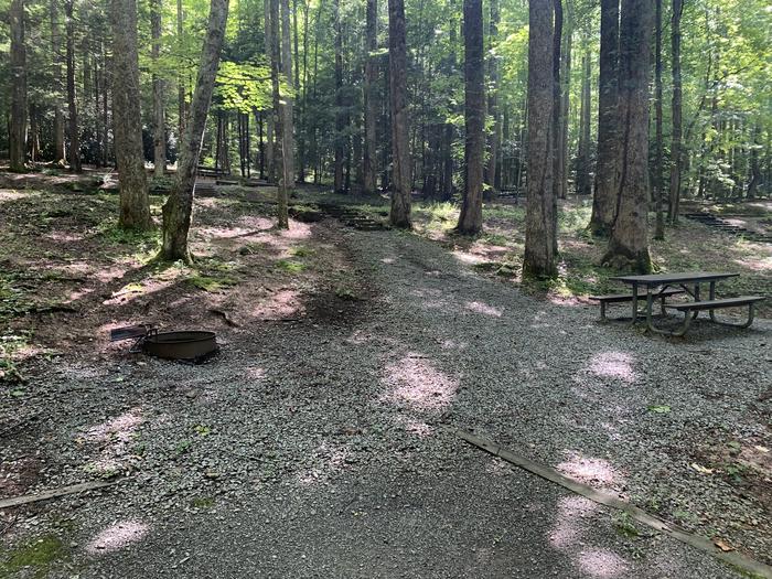 A photo of Site B66 of Loop B-Loop at COSBY CAMPGROUND with Picnic Table, Fire Pit, Tent Pad