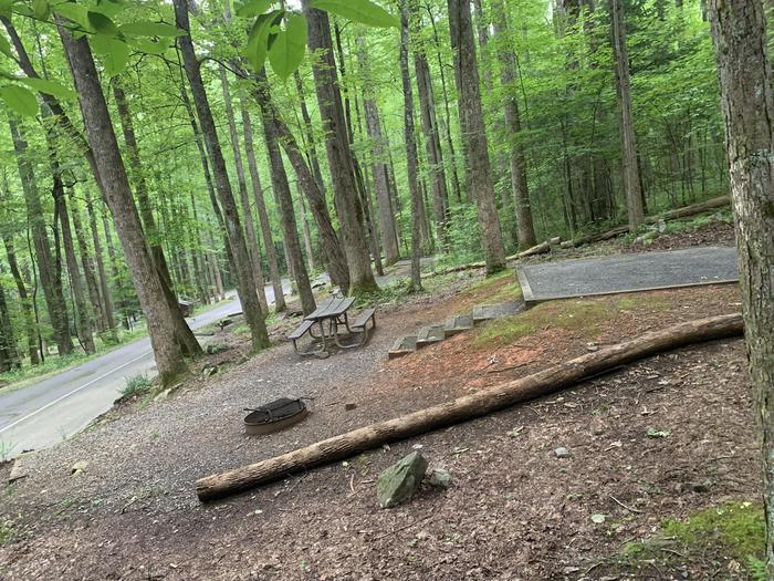 A photo of Site B44 of Loop B-Loop at COSBY CAMPGROUND with Picnic Table, Fire Pit, Tent Pad