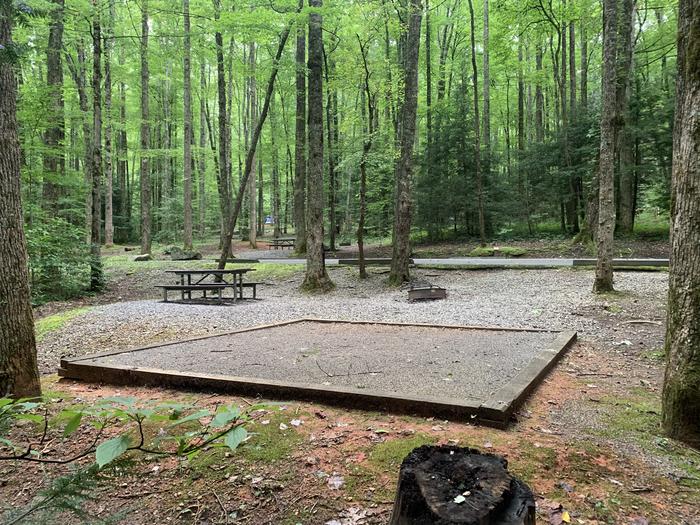 A photo of Site B22 of Loop B-Loop at COSBY CAMPGROUND with Picnic Table, Fire Pit, Tent Pad