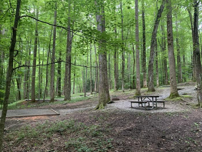 A photo of Site B38 of Loop B-Loop at COSBY CAMPGROUND with Picnic Table, Fire Pit, Tent Pad