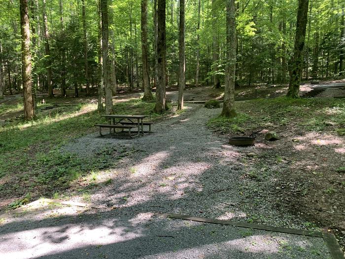 A photo of Site B62 of Loop B-Loop at COSBY CAMPGROUND with Picnic Table, Fire Pit, Tent Pad