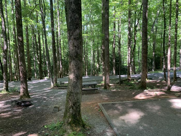 A photo of Site B71 of Loop B-Loop at COSBY CAMPGROUND with Picnic Table, Fire Pit, Tent Pad