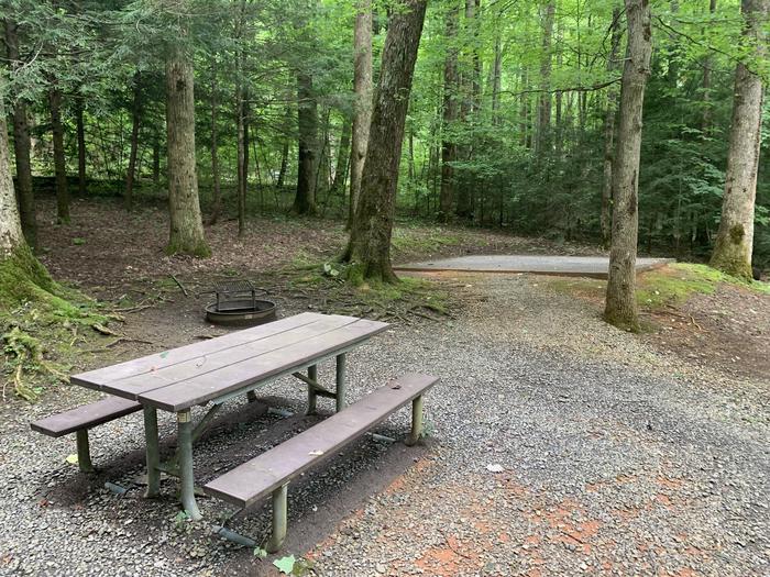 A photo of Site B31 of Loop B-Loop at COSBY CAMPGROUND with Picnic Table, Fire Pit, Tent Pad
