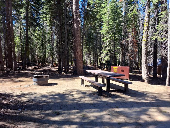 Rancheria Site # 11Picnic table, bear bin and firepit