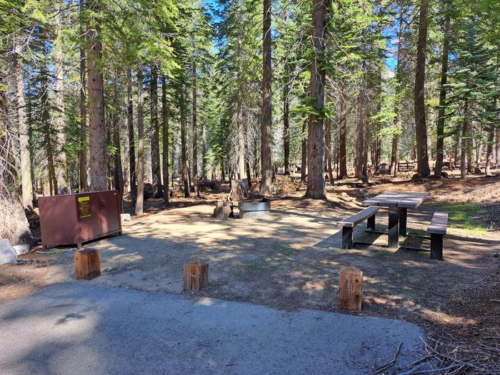 Rancheria Site # 13Picnic table, bear bin and firepit
