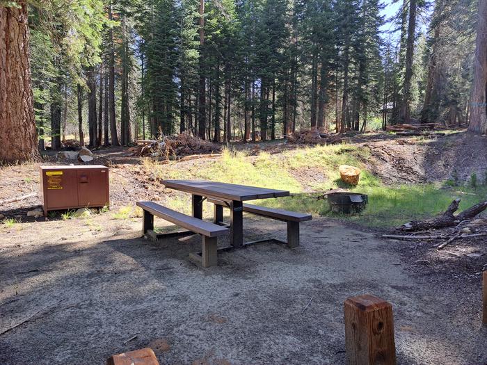 Rancheria # 19Picnic table, bear bin and firepit