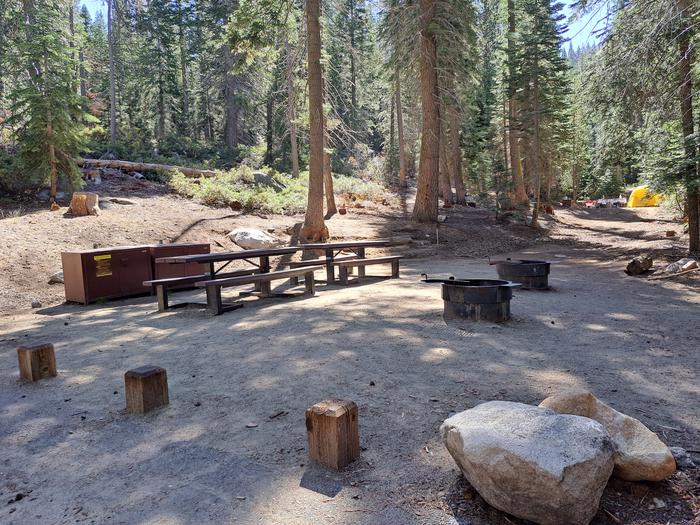 double sitePicnic tables, bear bins and firepits