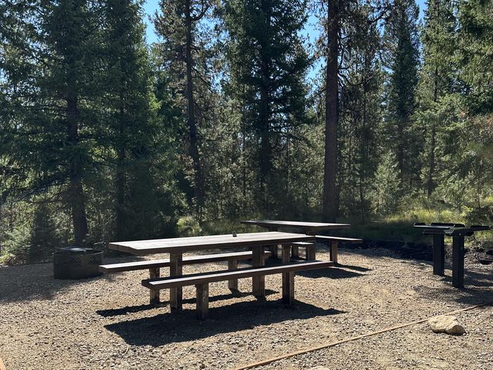Site 1 Picnic area with two picnic tables, two utility tables, and one fire ring