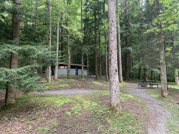 A photo of Site A27 of Loop A-Loop at COSBY CAMPGROUND with Picnic Table, Fire Pit, Tent Pad