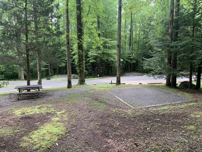 A photo of Site A27 of Loop A-Loop at COSBY CAMPGROUND with Picnic Table, Fire Pit, Tent Pad
