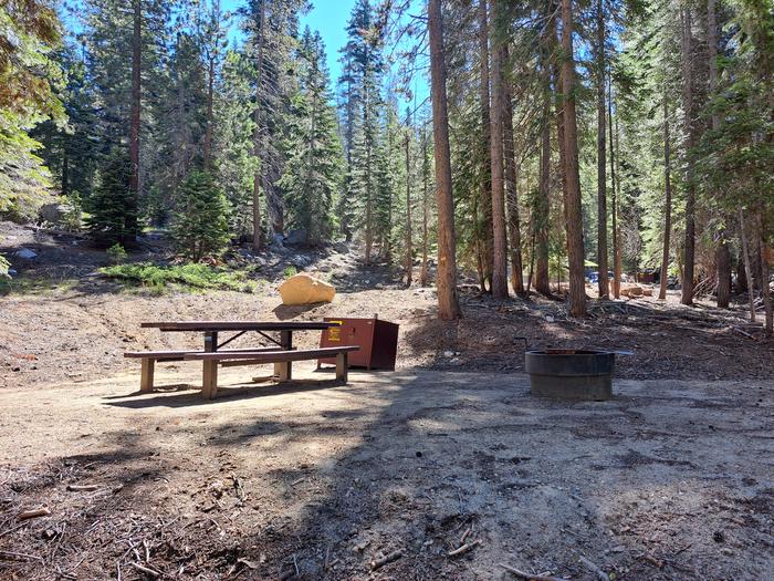 Site # 87Picnic table, bear bin and firepit