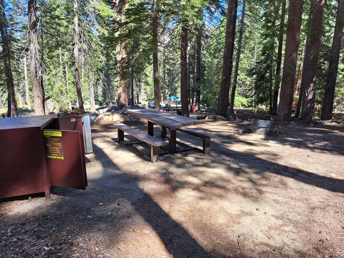 Site # 89Picnic table, bear bin and firepit