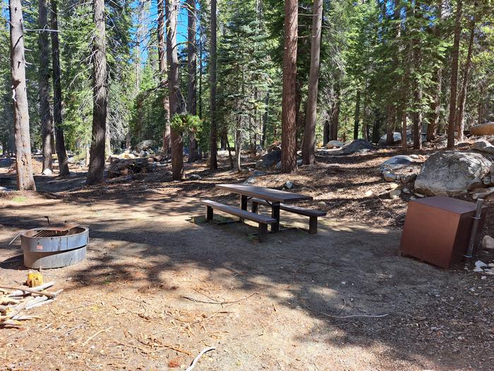 Site # 91Picnic table, bear bin and firepit