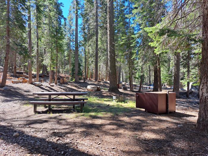 Site # 92Picnic table, bear bin and firepit